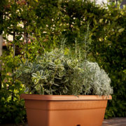 Volterra flowerbox terracotta
