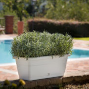 Volterra flowerbox white