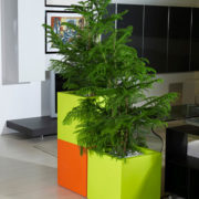Kube Square Pot