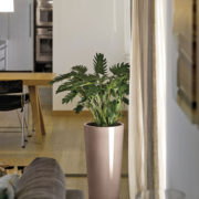Tuit Pot