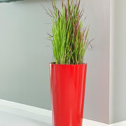 Tuit Pot