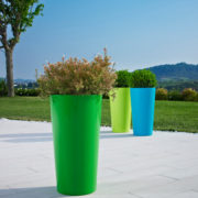 Tuit Pot